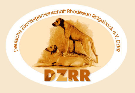 dzrr logo